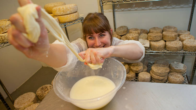 Learn cheesemaking