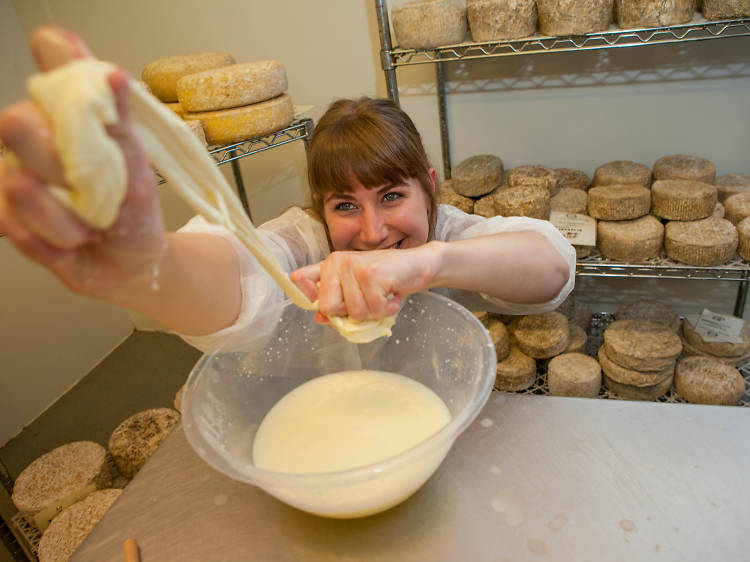 Learn cheesemaking