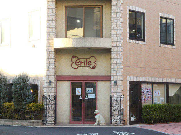Erile Erile