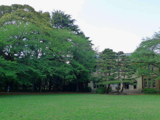 駒場公園 駒場公園