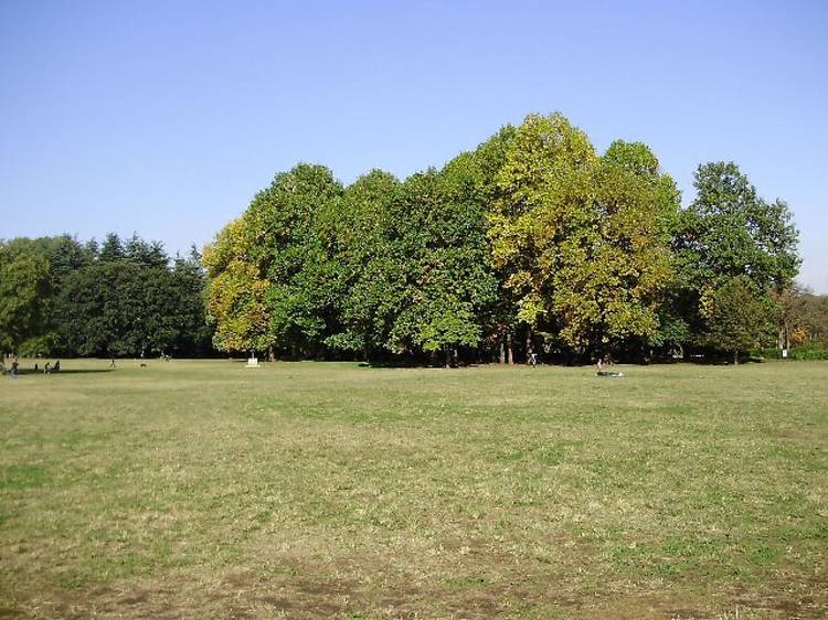 小金井公園