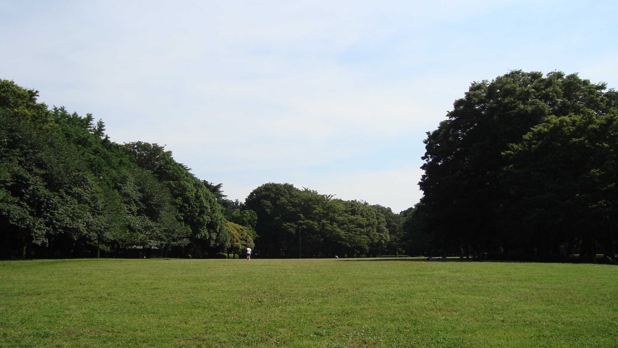 砧公園 砧公園
