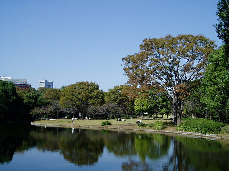 10am: Kitanomaru Park