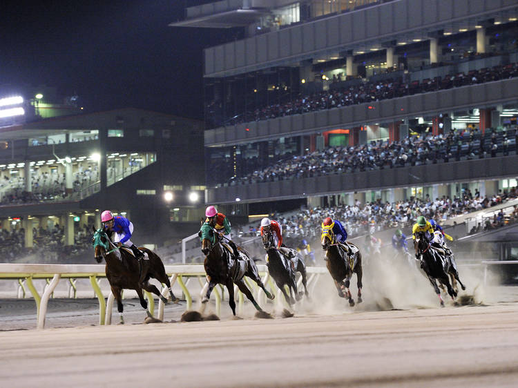 Catch a night race at Tokyo City Keiba