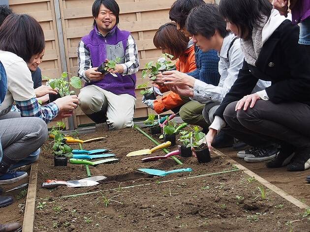 元麻布農園 農業スクール 元麻布農園 農業スクール