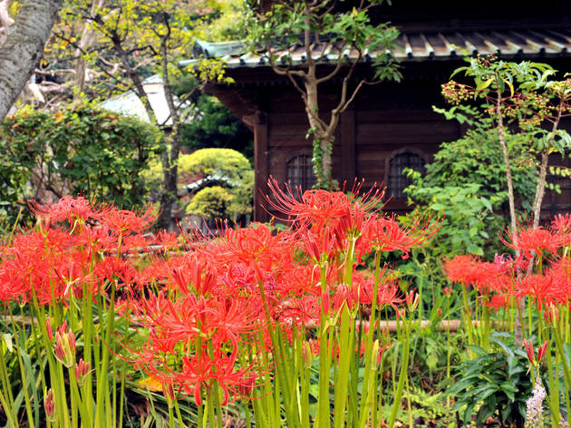 Eisho-ji Eisho-ji