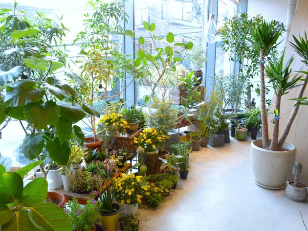 【閉店】BIRDHOUSE 【閉店】BIRDHOUSE