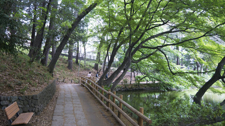 善福寺公園