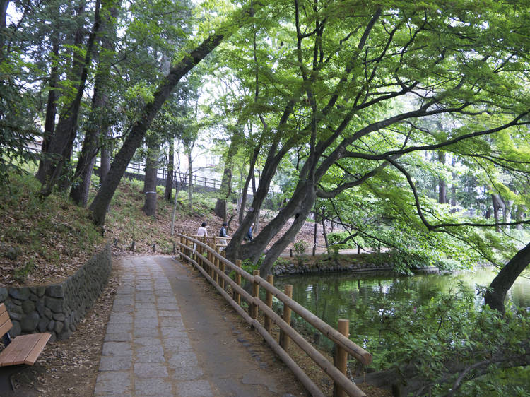 Take a breather in Zenpukuji Park