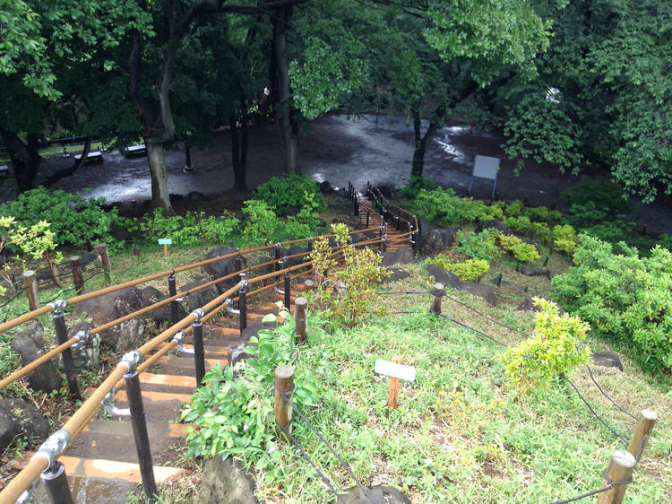 'Mountain climb' in a city park...