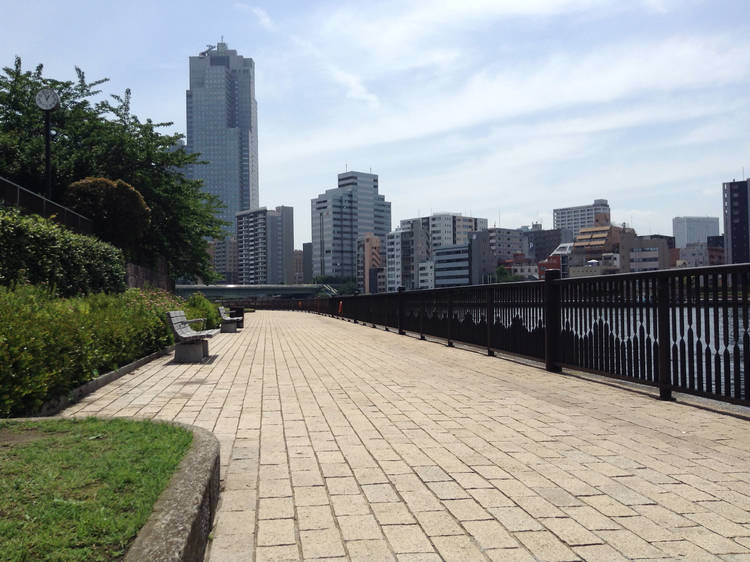 Jog along the Sumida River Terrace