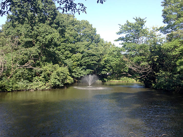 Go fishing in Wadabori Park