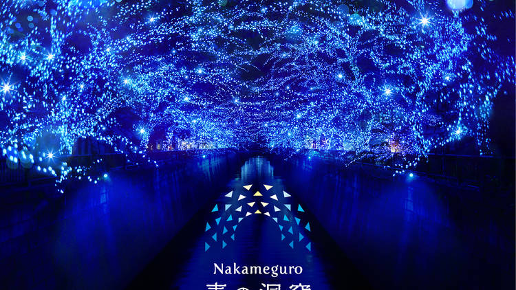 Nakameguro Ao no Dokutsu | Things to do in Tokyo