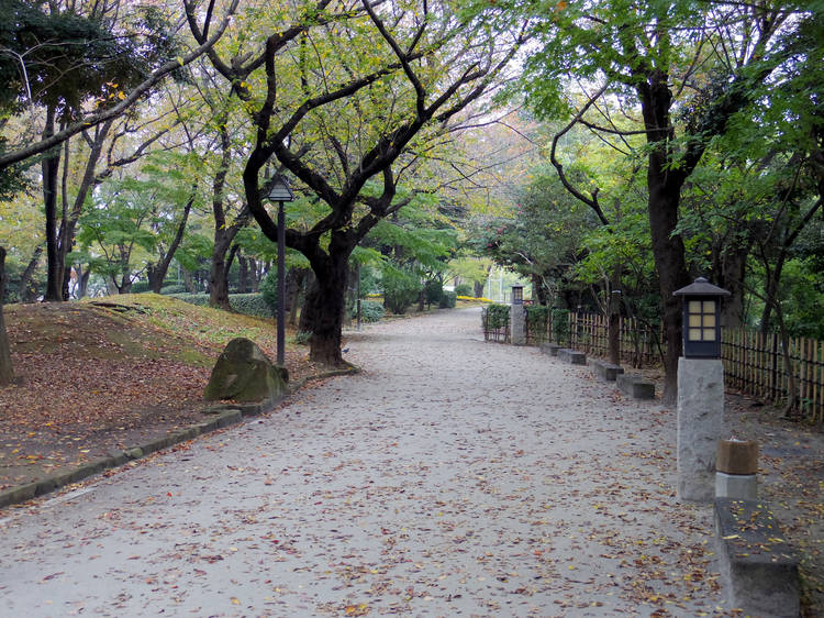 Ride a tiny ‘monorail’ at Asukayama Park