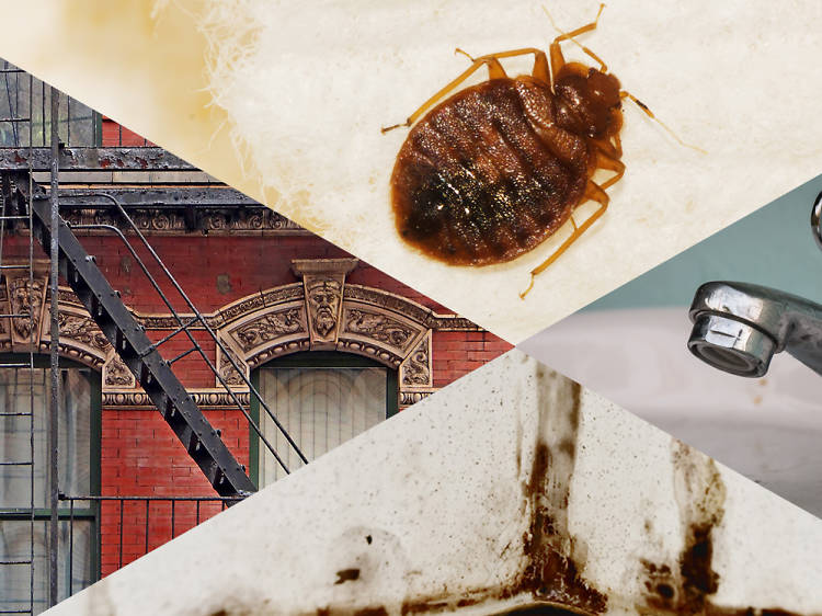 How to deal with bed bugs, noisy neighbors and other NYC apartment problems