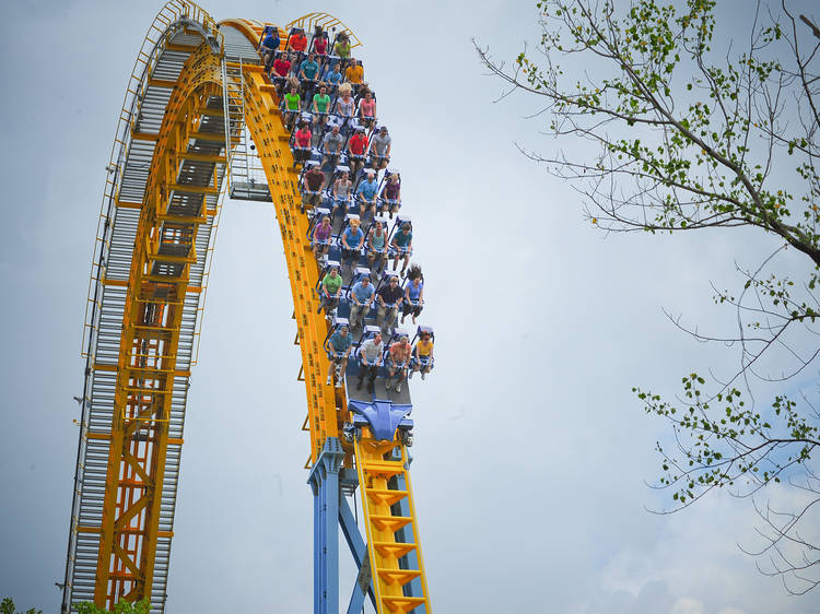 Best Roller Coasters in the NYC Metro Area