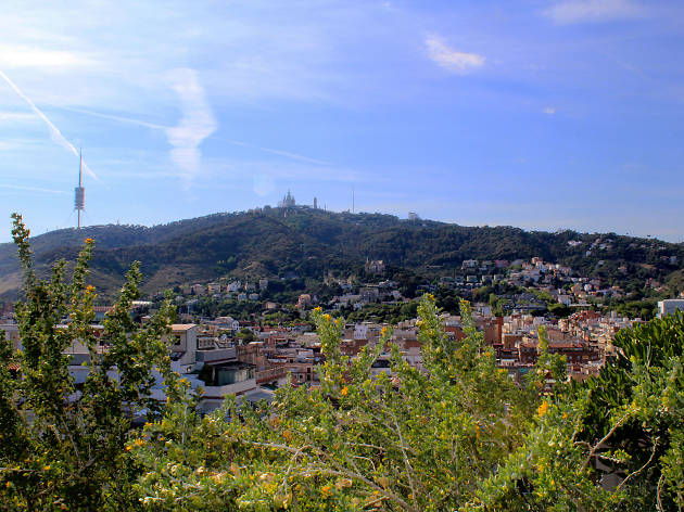 Vistes del Turò del Putxet 2 Vistes del Turò del Putxet 2