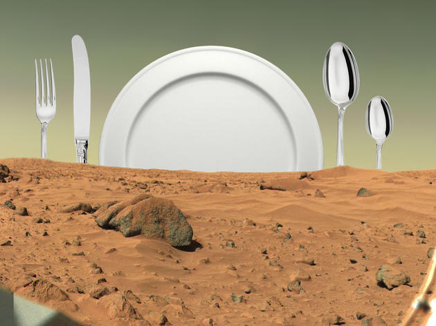 The Menu for Mars Kitchen The Menu for Mars Kitchen