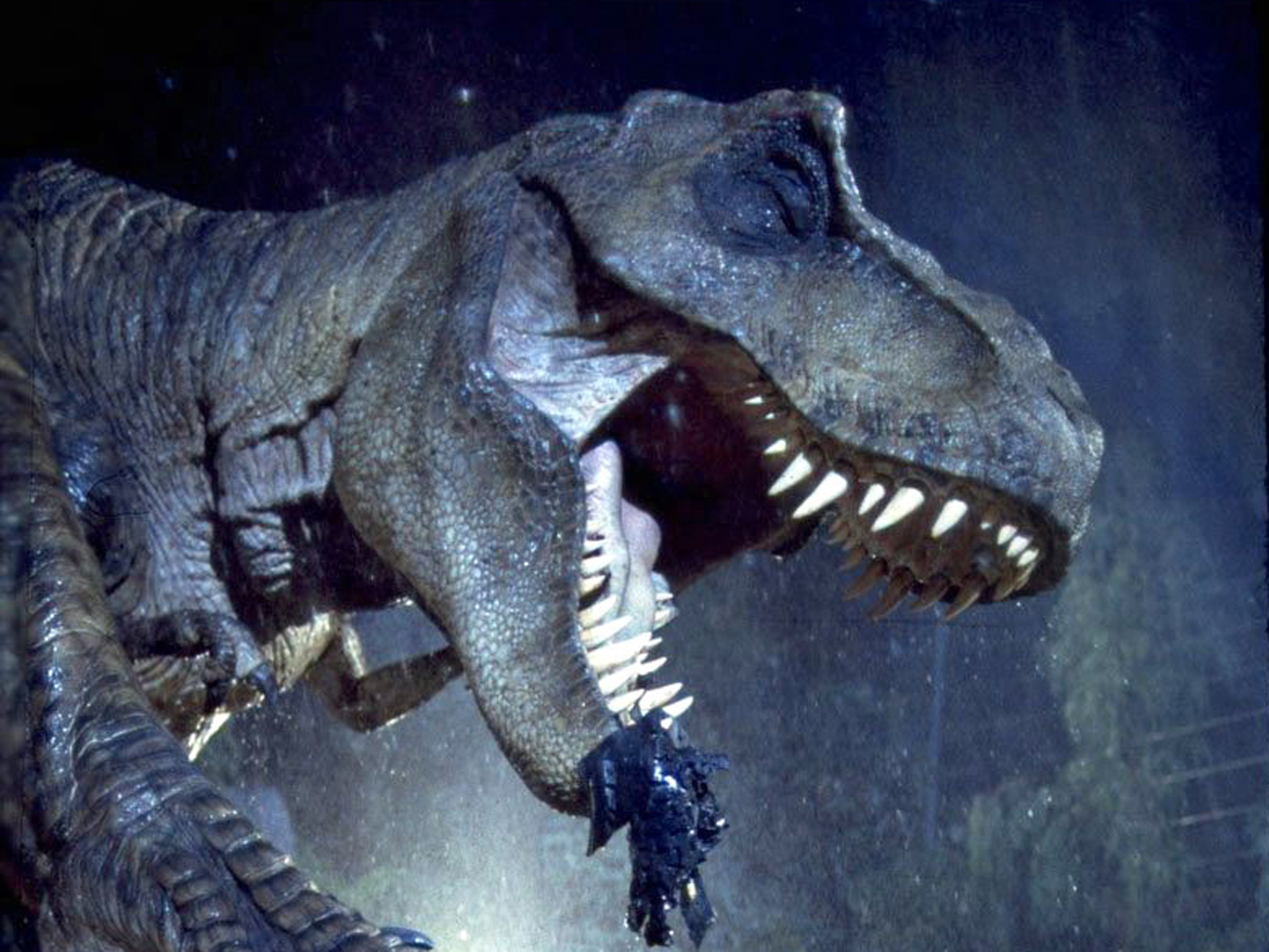 Тирекс король динозавров. Тираннозавр парк Юрского периода. Парк Юрского периода 1993 Тиранозавр. Тираннозавр парк Юрского периода 1.