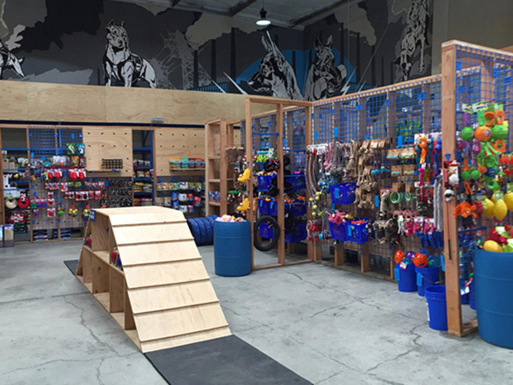 la-s-best-pet-store-options