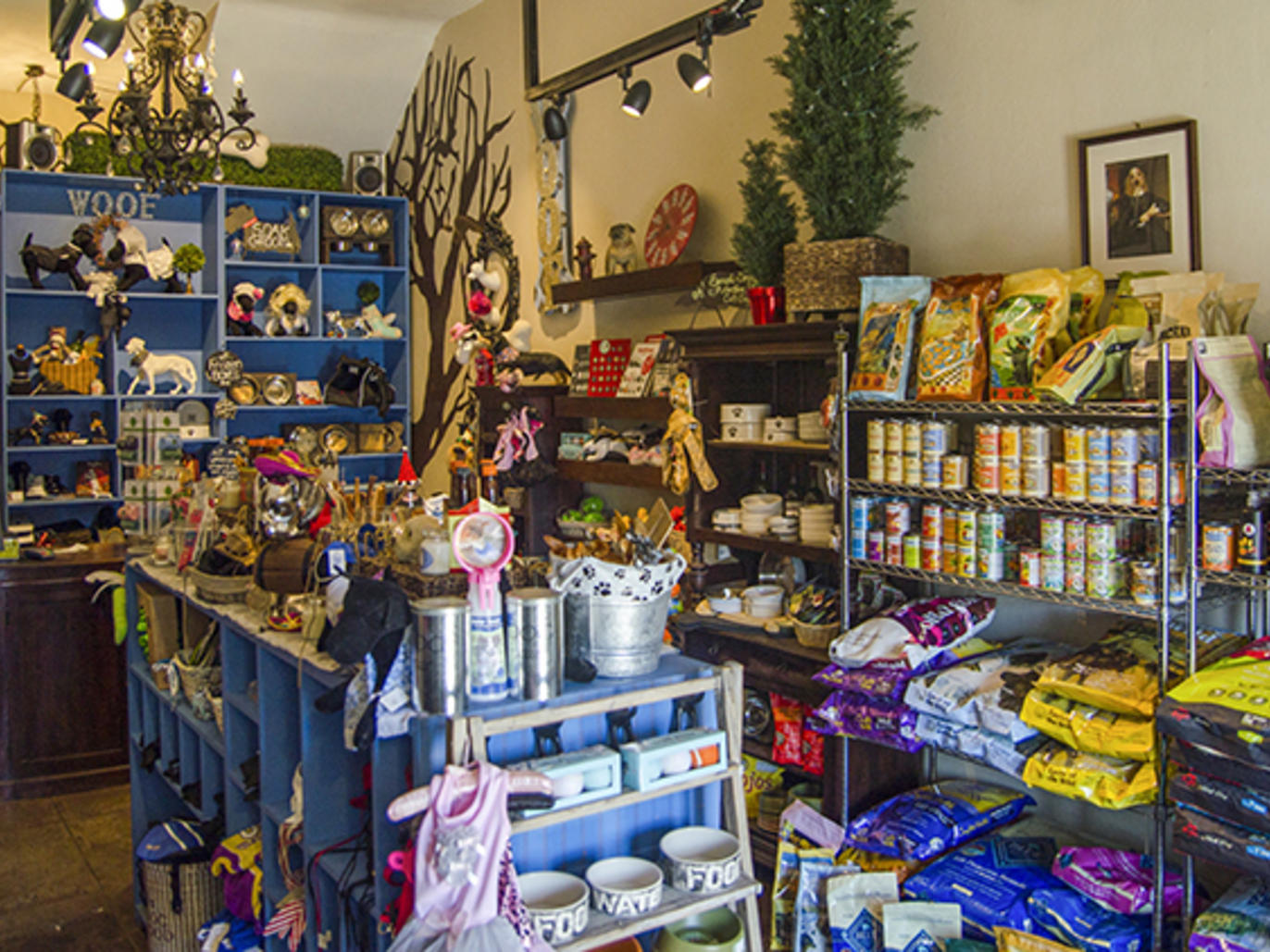 la-s-best-pet-store-options