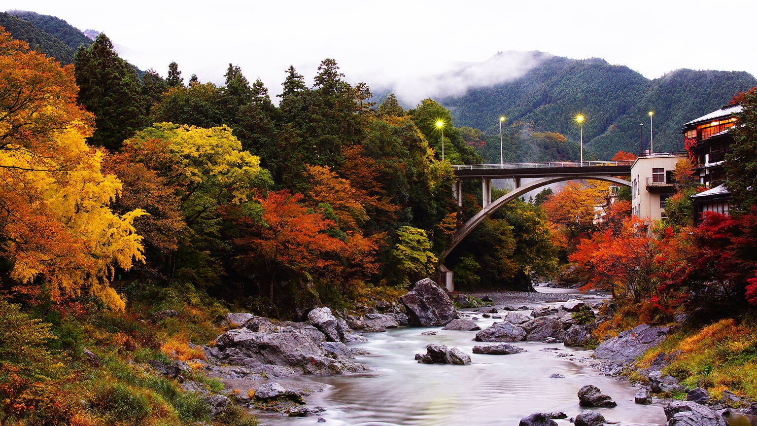 12 best things to do in Tokyo this autumn