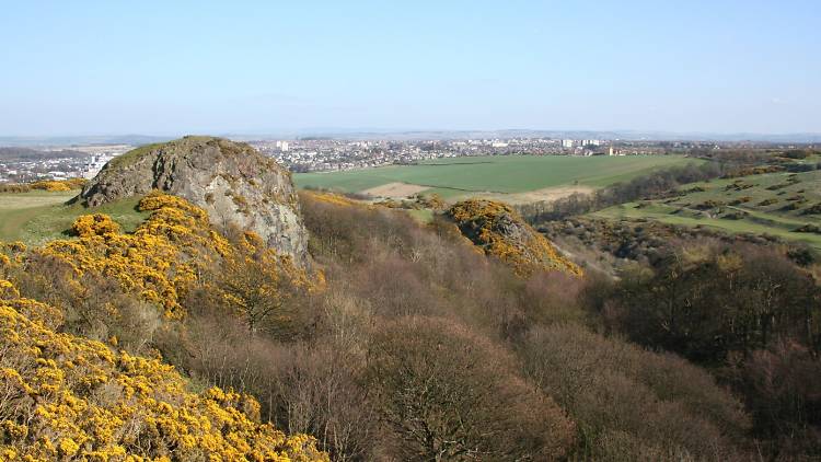 Blackford Hill