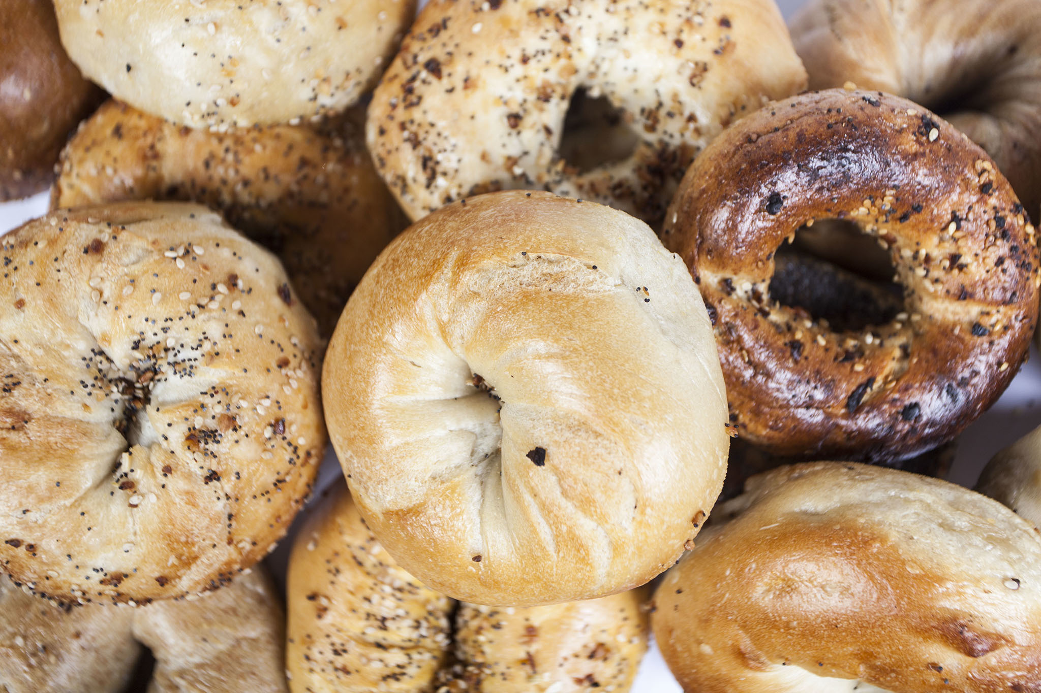 best bagels