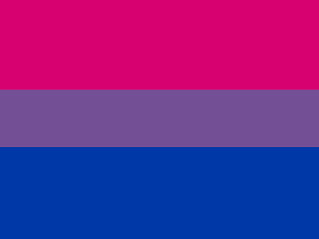 Bandera bisexual Bandera bisexual
