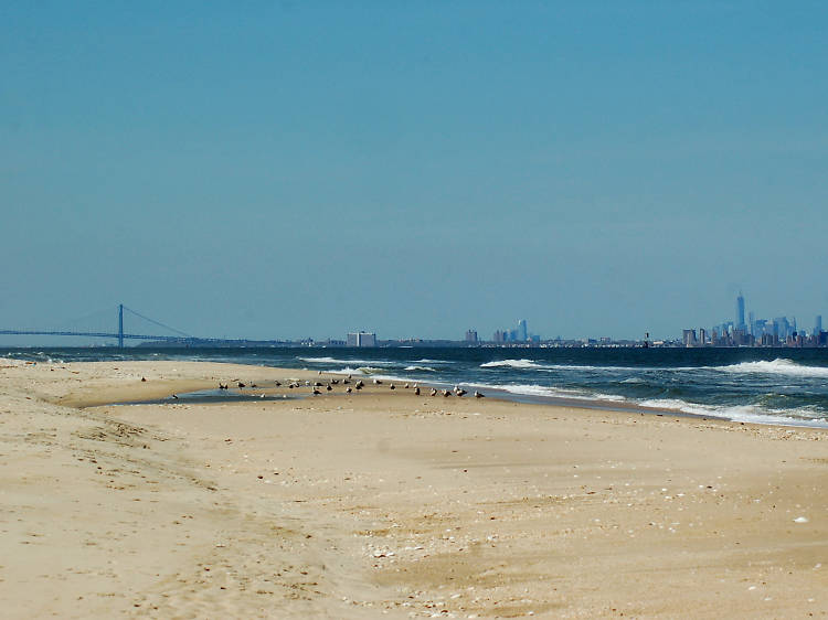 Gunnison Beach