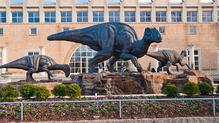 Cool off at Fernbank After Dark