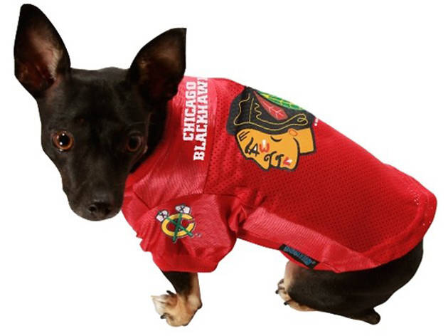 blackhawks dog jersey