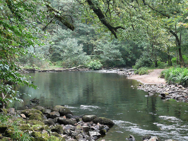 outdoor wild swimming near me