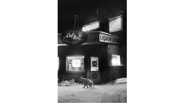 Marc Riboud, 'Alaska', Etats-Unis, 1958 / Courtesy de Marc Riboud et galerie Polka, Paris