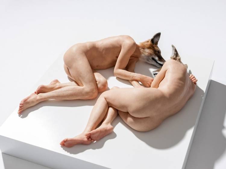 샘 징크 ("Unsettled Dogs"(2012) courtesy of the artist and Sullivan+Strumpf, Sydney)