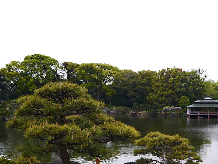 Kiyosumi Garden | Time Out Tokyo