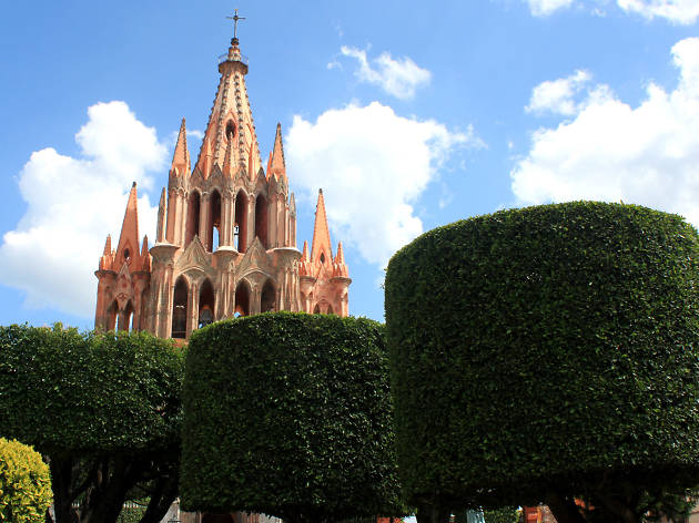 Jardín Central Jardín Central