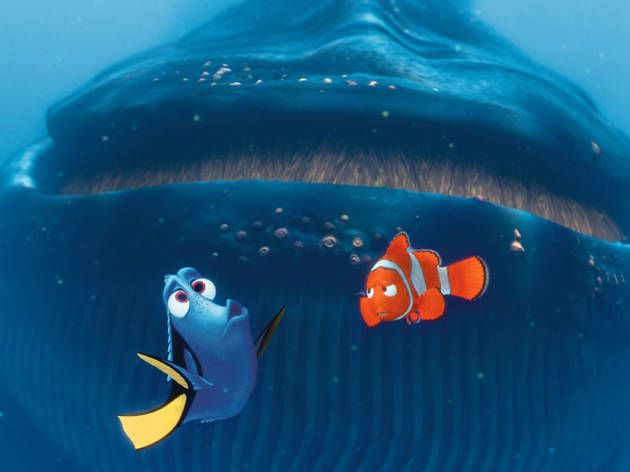 buscando a nemo buscando a nemo
