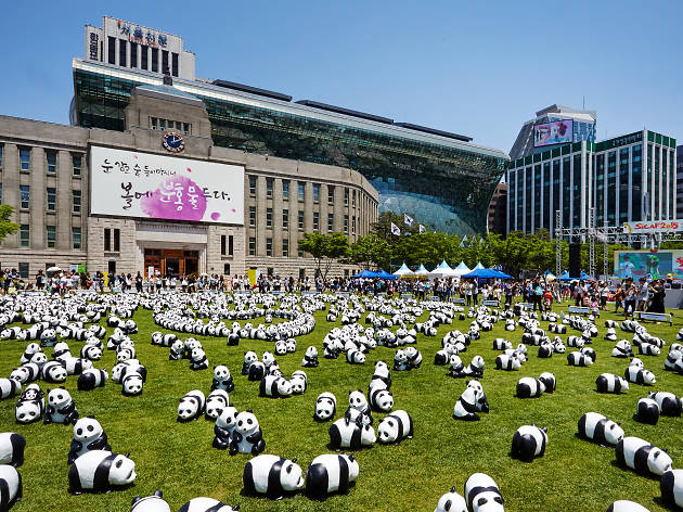 판다 1600+ panda