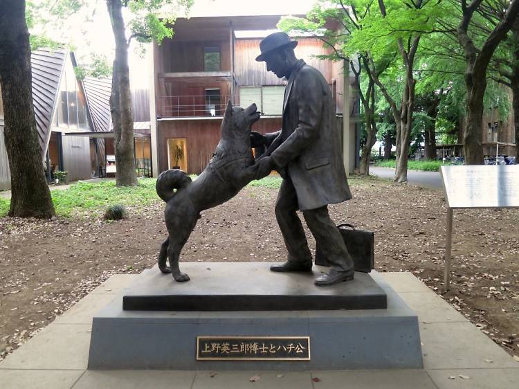 Another Hachiko