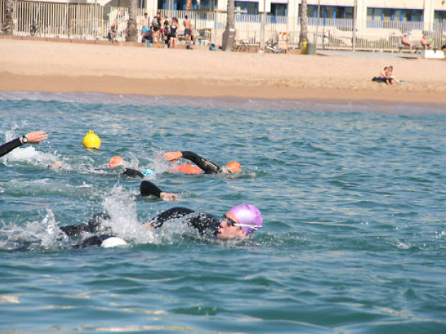 Natació al mar natació, mar, Club Natació Barcelona