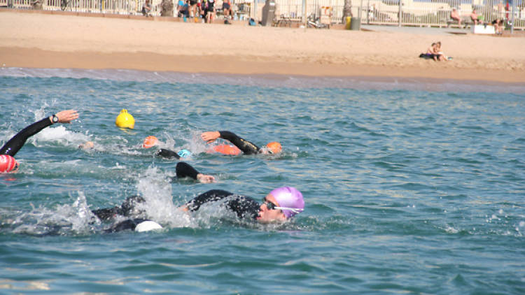 Natación en el mar: aguas abiertas