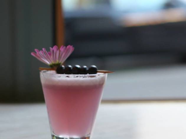Violeta Rusa Violeta Rusa