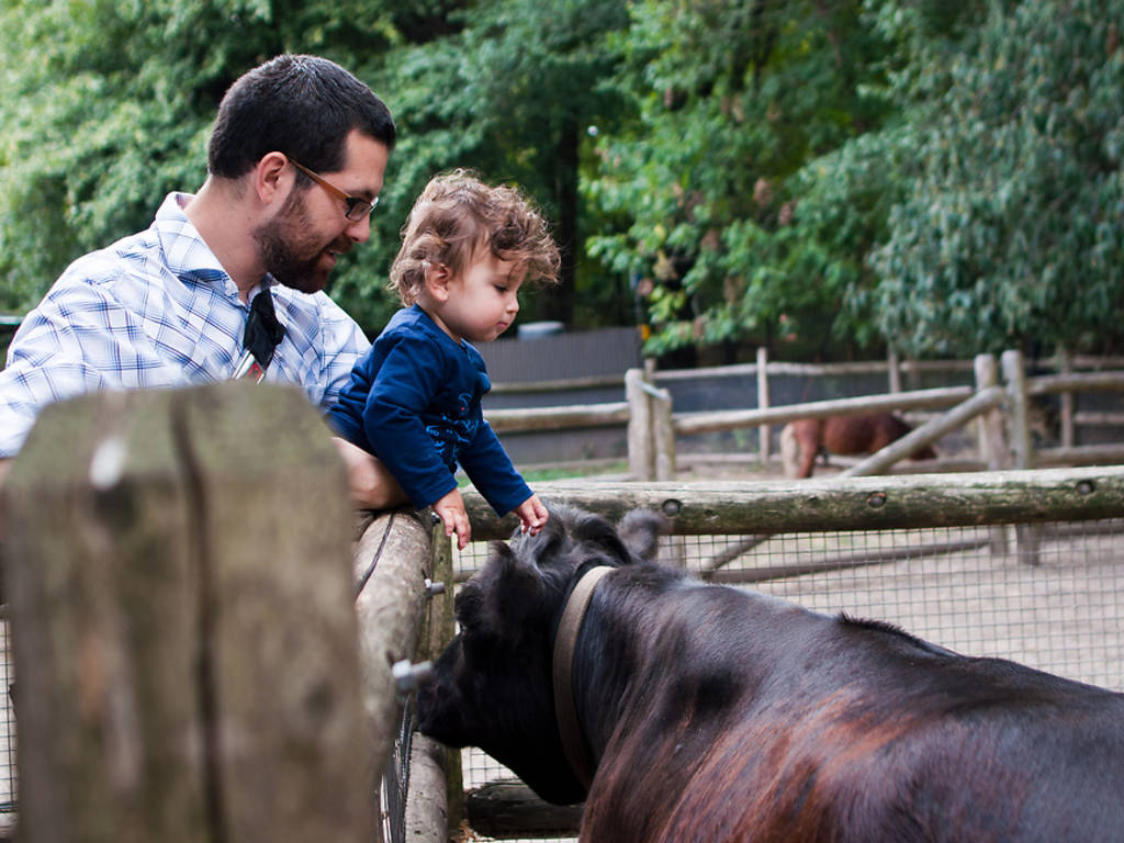 travel petting zoo nyc