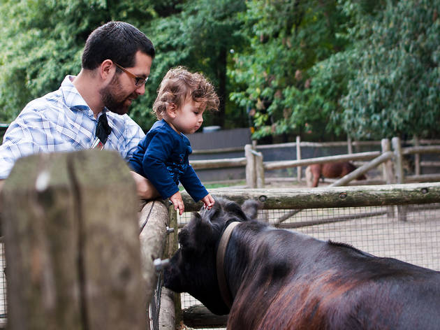 Best Petting Zoos And Animal Farms Near New York City   Image 