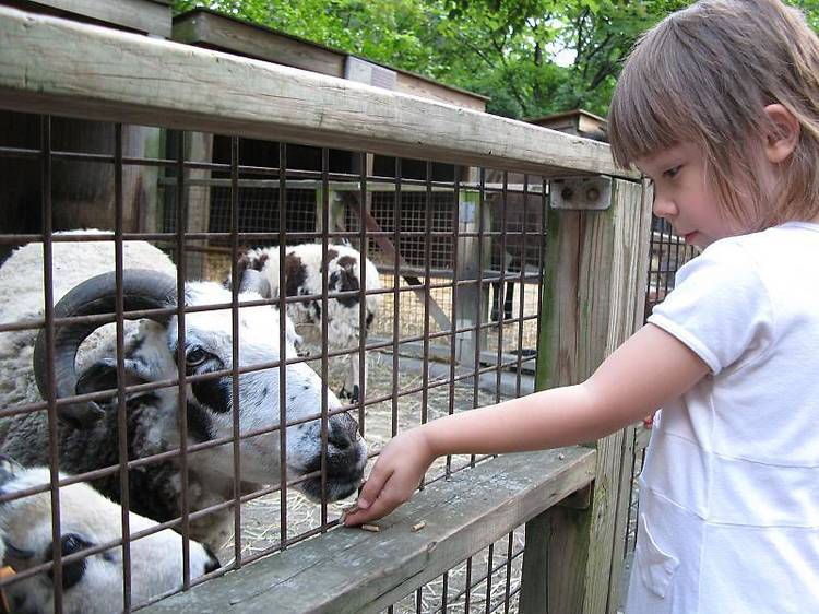 Bronx Children's Zoo