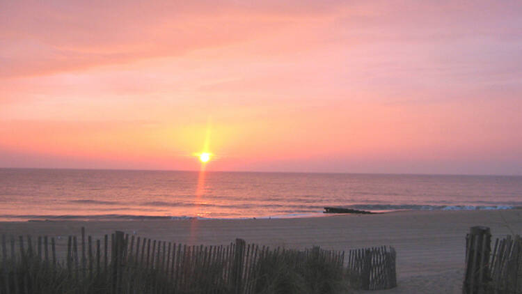 Rehoboth Beach, DE