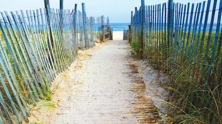 Robert Moses Beach