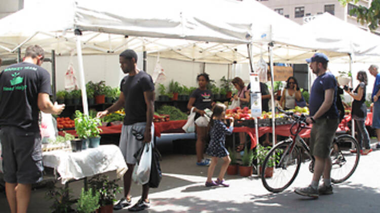 Friends of Morningside Park Farmers' Market