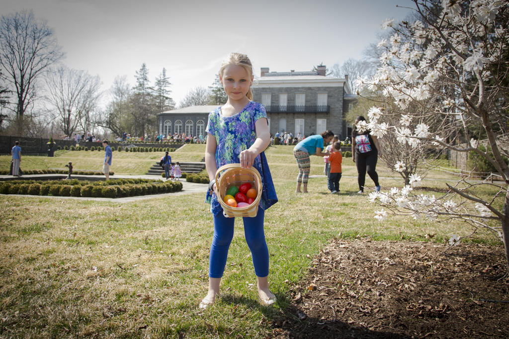 Easter egg sale hunt for kids